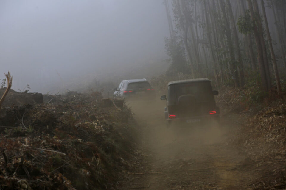48 Mercedes-Benz trocaram os asfalto pelos trilhos do Centro de Portugal. E acabaram numa ilha